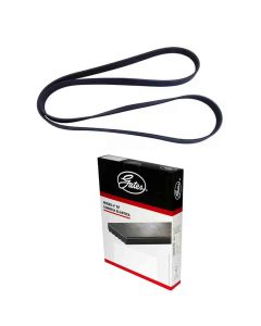 Correia Frisada KA 2000 a 2024 6PK1822 Gates