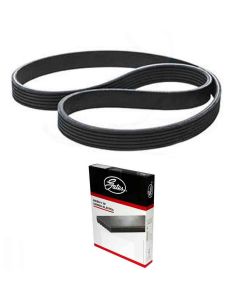 Correia Frisada Civic 2005 A 2015 7PK2060 Gates
