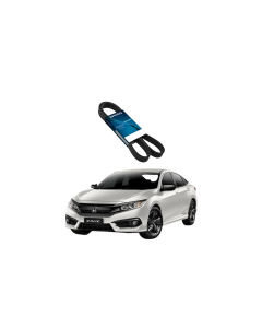 Correia Frisada New Civic 1.8 2008 A 2021 7PK2060 Dayco